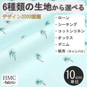 y10cmP:z n z I[_[vgz ( V[`O or IbNX ) / fab-cm01177