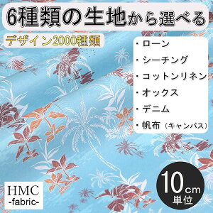 y10cmP:z n z I[_[vgz ( V[`O or IbNX ) / fab-cm01178