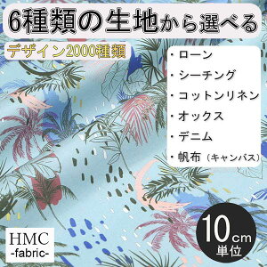 y10cmP:z n z I[_[vgz ( V[`O or IbNX ) / fab-cm01181