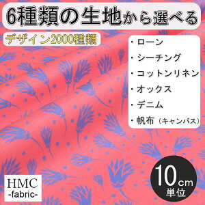 y10cmP:z n z I[_[vgz ( V[`O or IbNX ) / fab-cm01189