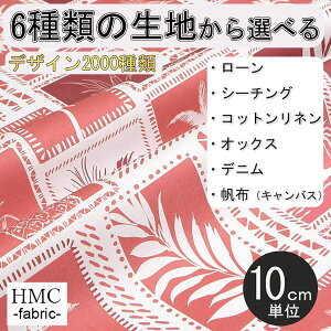 y10cmP:z n z I[_[vgz ( V[`O or IbNX ) / fab-cm01196