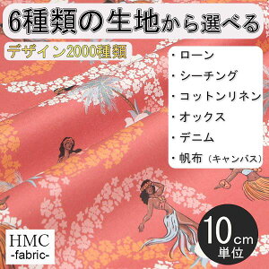 y10cmP:z n z I[_[vgz ( V[`O or IbNX ) / fab-cm01198