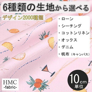 y10cmP:z n z I[_[vgz ( V[`O or IbNX ) / fab-cm01201