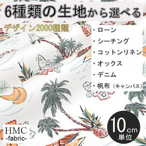 y10cmP:z n z I[_[vgz ( V[`O or IbNX ) / fab-cm01206