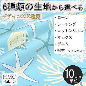 y10cmP:z n z I[_[vgz ( V[`O or IbNX ) / fab-cm01207