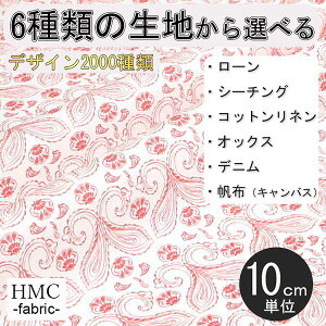 y10cmP:z n z I[_[vgz ( V[`O or IbNX ) / fab-cm01218