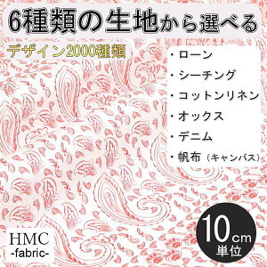 y10cmP:z n z I[_[vgz ( V[`O or IbNX ) / fab-cm01219