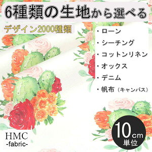 y10cmP:z n z I[_[vgz ( V[`O or IbNX ) / fab-cm01229