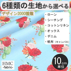 y10cmP:z n z I[_[vgz ( V[`O or IbNX ) / fab-cm01230