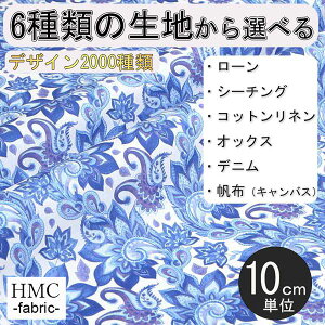 y10cmP:z n z I[_[vgz ( V[`O or IbNX ) / fab-cm01239