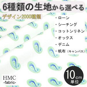 y10cmP:z n z I[_[vgz ( V[`O or IbNX ) / fab-cm01240