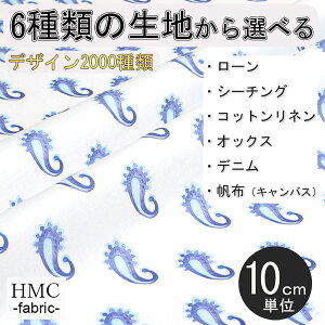 y10cmP:z n z I[_[vgz ( V[`O or IbNX ) / fab-cm01243