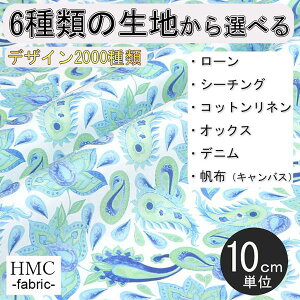 y10cmP:z n z I[_[vgz ( V[`O or IbNX ) / fab-cm01248