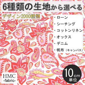 y10cmP:z n z I[_[vgz ( V[`O or IbNX ) / fab-cm01255