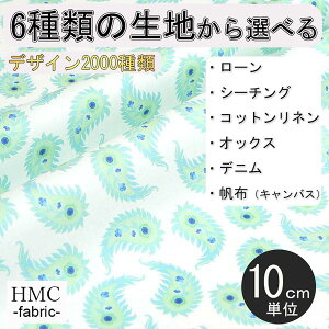 y10cmP:z n z I[_[vgz ( V[`O or IbNX ) / fab-cm01257