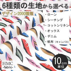 y10cmP:z n z I[_[vgz ( V[`O or IbNX ) / fab-cm01261