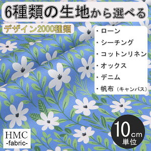 y10cmP:z n z I[_[vgz ( V[`O or IbNX ) / fab-cm01266