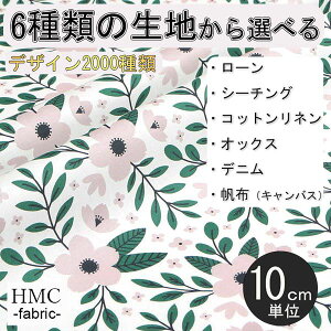 y10cmP:z n z I[_[vgz ( V[`O or IbNX ) / fab-cm01276