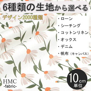y10cmP:z n z I[_[vgz ( V[`O or IbNX ) / fab-cm01287