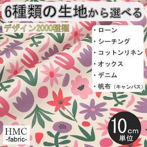 y10cmP:z n z I[_[vgz ( V[`O or IbNX ) / fab-cm01297