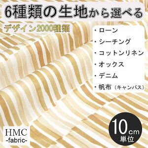 y10cmP:z n z I[_[vgz ( V[`O or IbNX ) / fab-cm01305