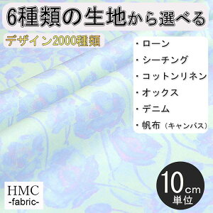 y10cmP:z n z I[_[vgz ( V[`O or IbNX ) / fab-cm01315