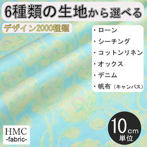 y10cmP:z n z I[_[vgz ( V[`O or IbNX ) / fab-cm01317