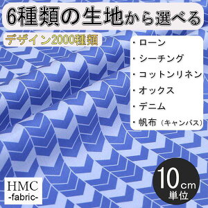 y10cmP:z n z I[_[vgz ( V[`O or IbNX ) / fab-cm01319