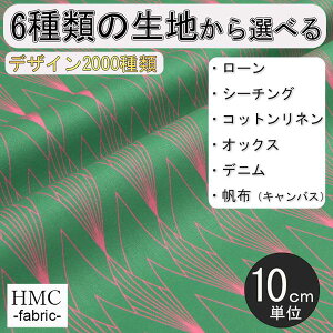 y10cmP:z n z I[_[vgz ( V[`O or IbNX ) / fab-cm01330