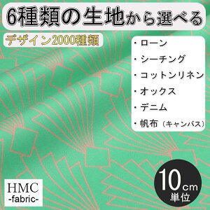 y10cmP:z n z I[_[vgz ( V[`O or IbNX ) / fab-cm01331