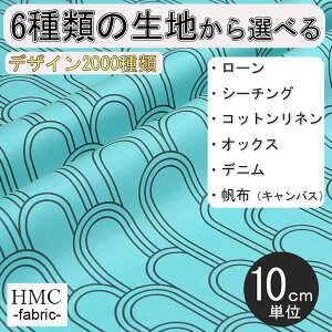 y10cmP:z n z I[_[vgz ( V[`O or IbNX ) / fab-cm01341