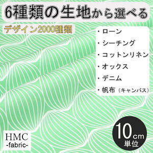 y10cmP:z n z I[_[vgz ( V[`O or IbNX ) / fab-cm01351