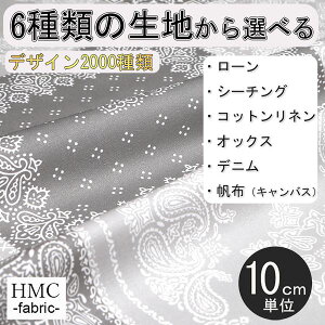 y10cmP:z n z I[_[vgz ( V[`O or IbNX ) / fab-hm00006