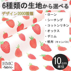 y10cmP:z n z I[_[vgz ( V[`O or IbNX ) / fab-hm00012