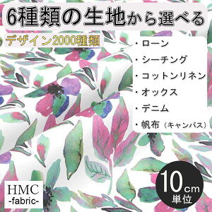 y10cmP:z n z I[_[vgz ( V[`O or IbNX ) / fab-hm00061