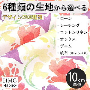 y10cmP:z n z I[_[vgz ( V[`O or IbNX ) / fab-hm00072