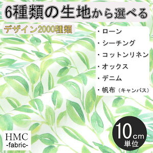 y10cmP:z n z I[_[vgz ( V[`O or IbNX ) / fab-hm00073