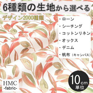 y10cmP:z n z I[_[vgz ( V[`O or IbNX ) / fab-hm00074