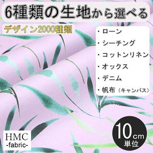 y10cmP:z n z I[_[vgz ( V[`O or IbNX ) / fab-hm00080