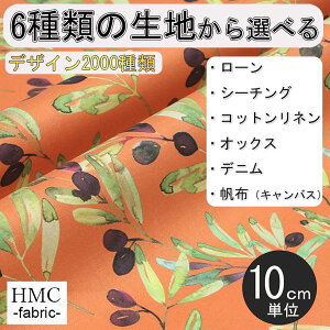 y10cmP:z n z I[_[vgz ( V[`O or IbNX ) / fab-hm00082