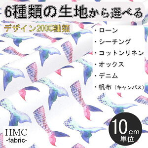 y10cmP:z n z I[_[vgz ( V[`O or IbNX ) / fab-hm00129