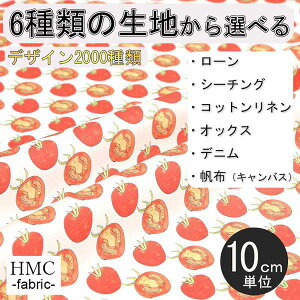 y10cmP:z n z I[_[vgz ( V[`O or IbNX ) `t@Ng[V[Y / fab-mf00061