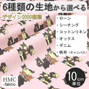 y10cmP:z n z I[_[vgz( V[`O or IbNX ) `t@Ng[V[Y / fab-mf00213