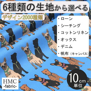 y10cmP:z n z I[_[vgz( V[`O or IbNX ) `t@Ng[V[Y / fab-mf00256