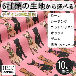 y10cmP:z n z I[_[vgz( V[`O or IbNX ) `t@Ng[V[Y / fab-mf00257