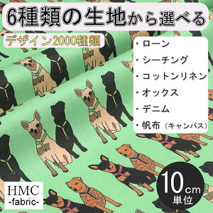 y10cmP:z n z I[_[vgz( V[`O or IbNX ) `t@Ng[V[Y / fab-mf00258