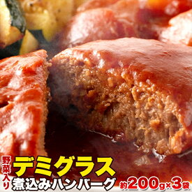 【P2倍6/1限定】じっくり煮込んだデミグラス煮込みハンバーグ約200g×3袋/送料無料/メール便