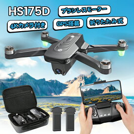 Holy Stone ドローン 4K fpv カメラ付き GPS搭載 室外 ブラシレスモーター 折畳式 付型リモートID搭載対応　フライト時間46分 110°広角カメラ 収納ケース リターンモード フォローミーモード 2.4GHz モード1/2 大人 プレゼント 国内認証　HS175D