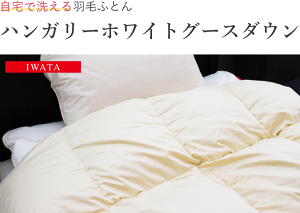 IWATA Hѕzc@nK[zCgO[X_E90 ySLzyzyRfށzyȑnzyAM[΍zy{z