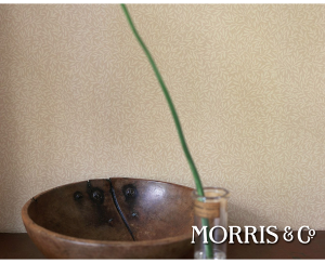 �y�ǎ��zStanden�X�^���f���y�I���W�i�������X�z�yMORRIS&Co.�z�y�A���i�z�y�C�M���X���z�y1M�P�ʃJ�b�g�̔��z�E�B���A�������X �ǎ�